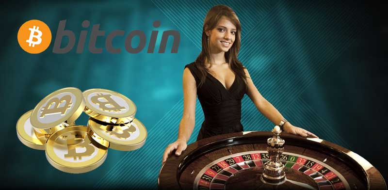 The Live Experience: Crypto Live Casino Gaming in Malaysia